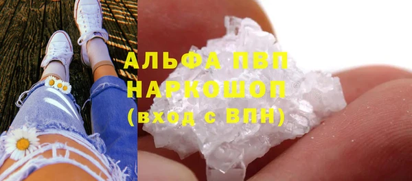 шишки Волосово