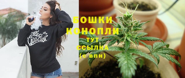 индика Верея