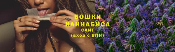 PSILOCYBIN Волоколамск